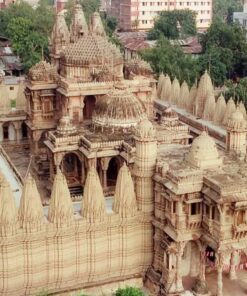 Gujarat Jain Heritage Tour India